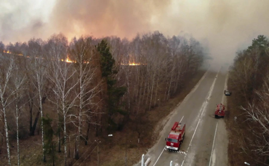 В Чернобыльской зоне уже неделю тлеют пеньки