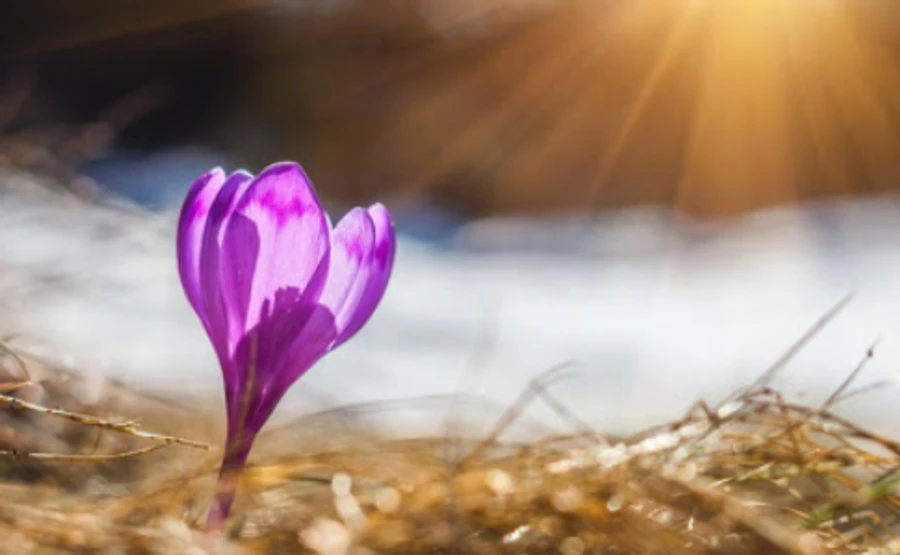 День весеннего равноденствия еще с теплом, а суббота принесет холод и снег