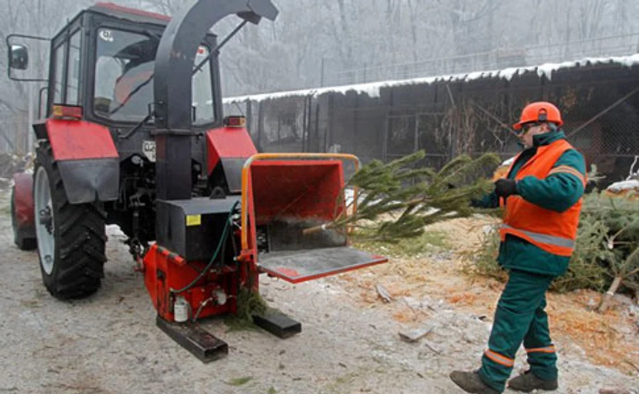 В Києві запрацювали 15 пунктів прийому новорічних ялинок