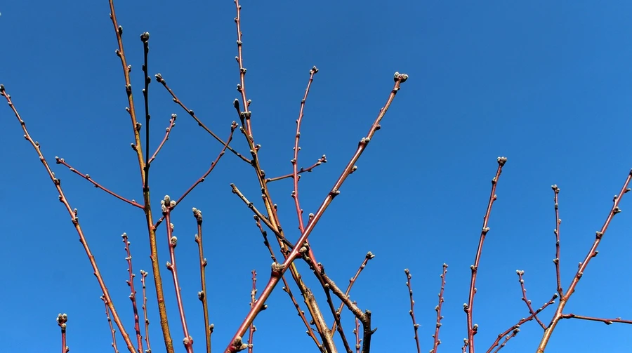 На выходных будет тепло и без осадков