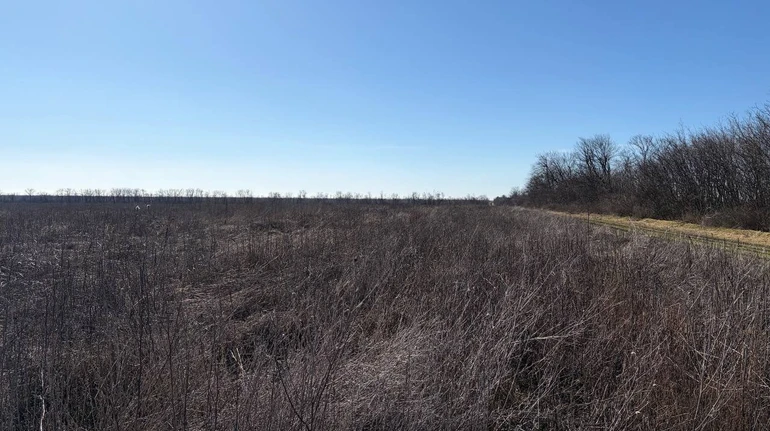 Держзембанк виграв суд щодо великої ділянки на Одещині: її вже виставили на торги