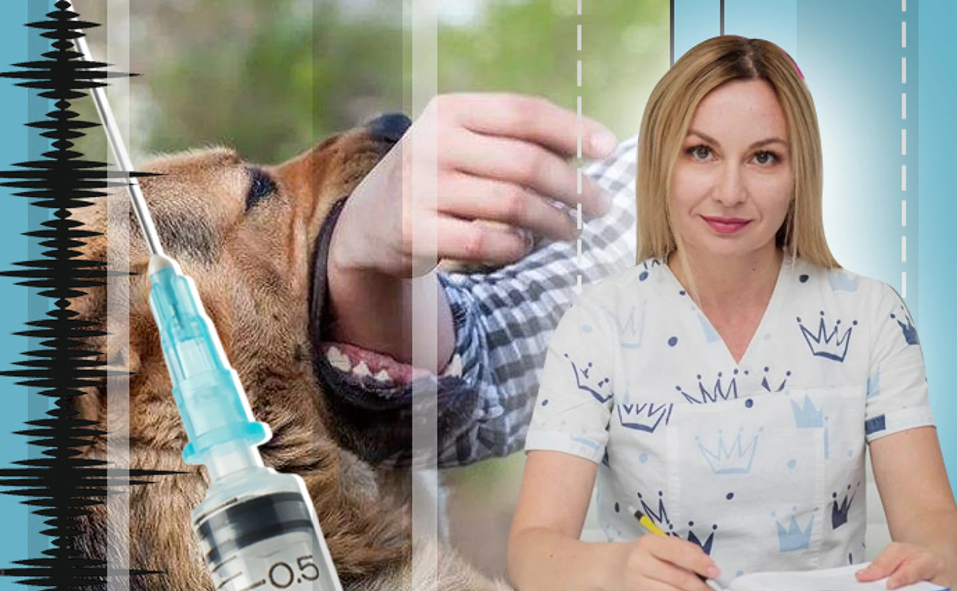 Випадки сказу в Україні почастішали. Все, що треба знати про хворобу зі 100% смертністю