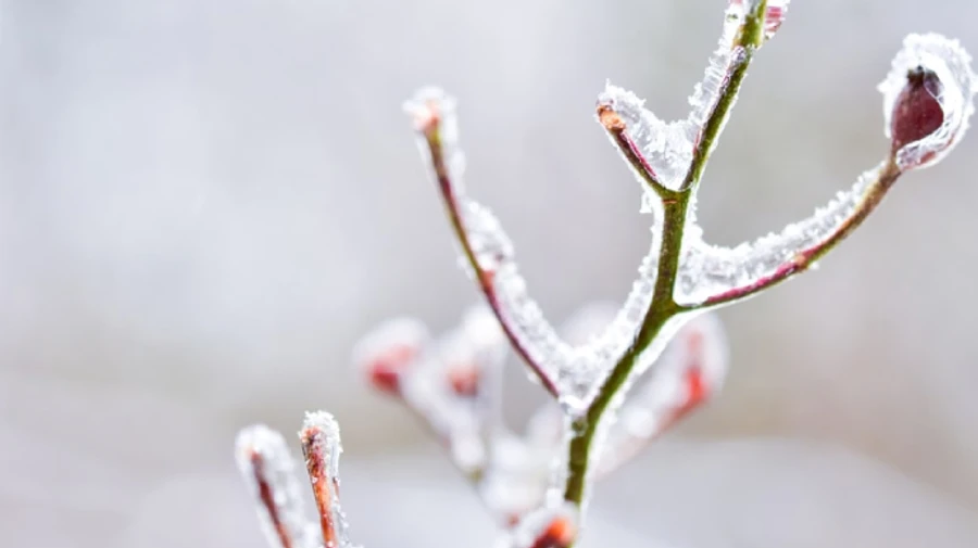 Синоптикиня попереджає про какабеку – крижаний дощ