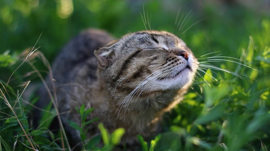 Похолодание продержится до конца недели