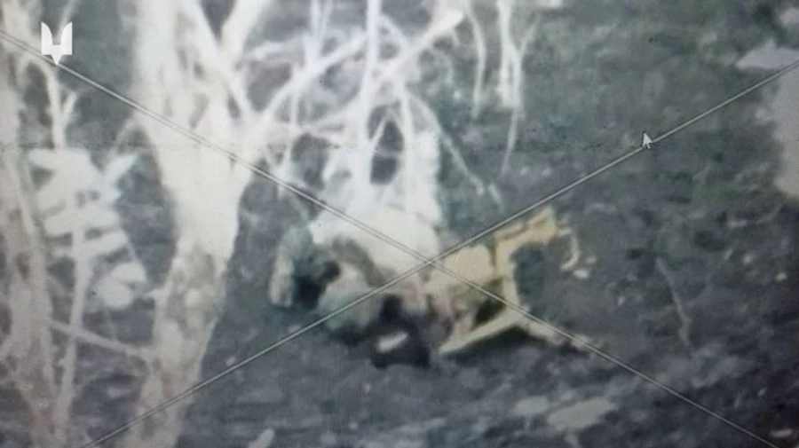 Special Operation Forces video shows defeat of Russian group near Avdiivka – video