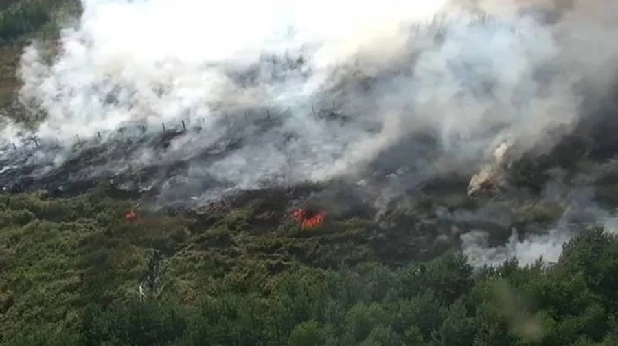 В Чехии горят 40 гектаров леса: есть пострадавшие