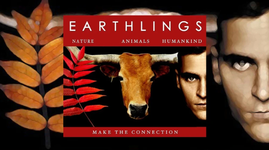 Земляни відреагували на події в Луцьку: не схвалюємо терор