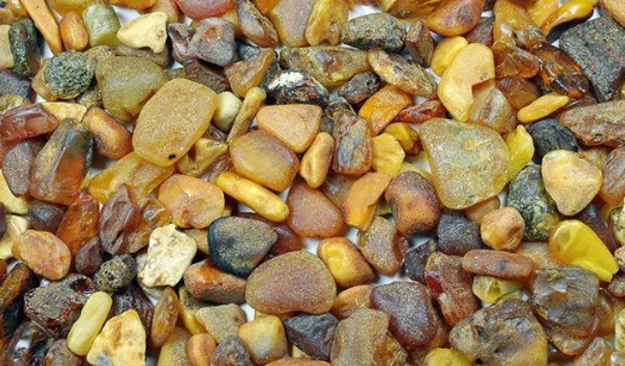 Поліція звітує, що вилучила бурштину на $30 мільйонів