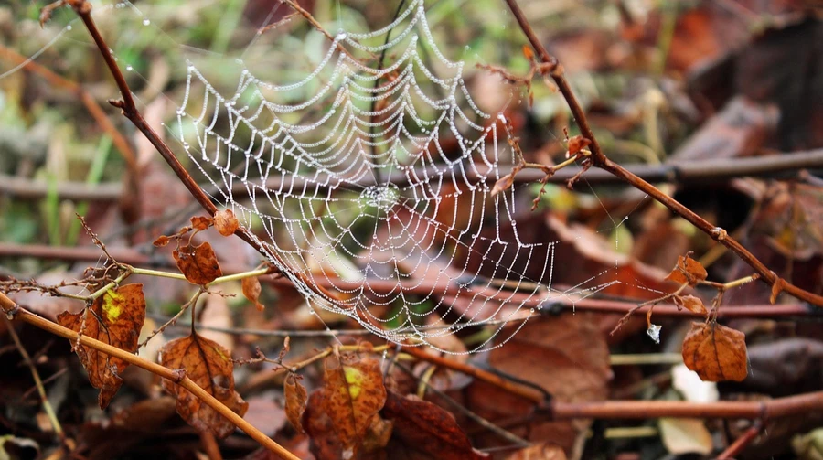 It will rain in a number of regions over the weekend
