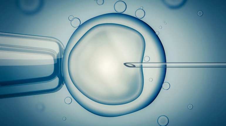 Для успішного ЕКЗ: вчені знайшли спосіб омолодження яйцеклітин жінок старшого репродуктивного віку