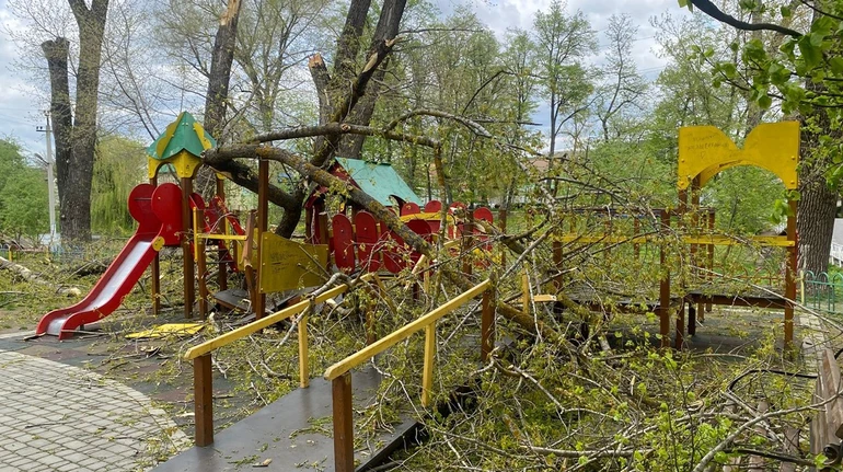 На Буковині дерева впали на дитячий майданчик – двох дівчат ушпиталили