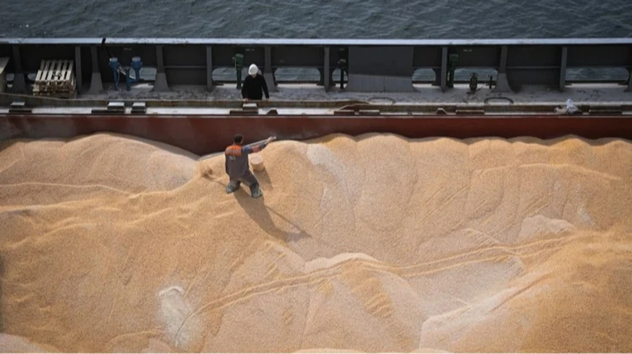 Ukraine's maize exports have plummeted by almost 85%