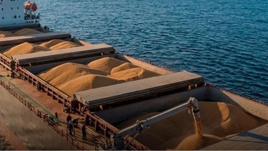 Ukraine verifies whether Russia has resumed Black Sea grain exports