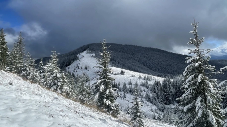 В Україні прогнозують потепління і сонячну погоду
