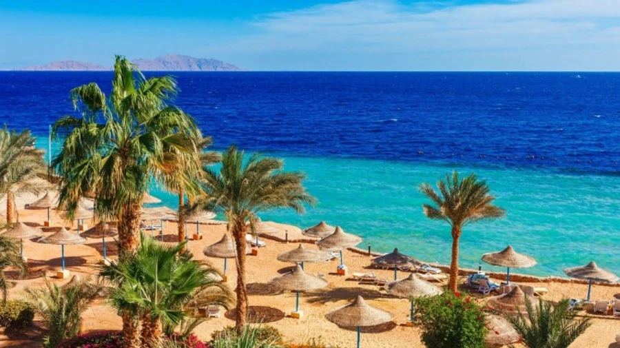 Путин договорился возобновить авиарейсы на курорты Египта, но неясно когда