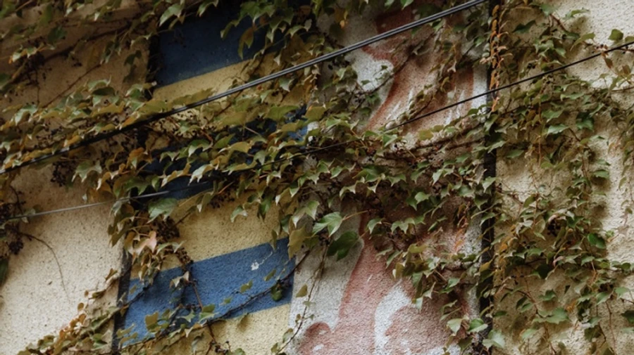 Социологи видят, что на Закарпатье сепаратистские настроения почти отсутствуют 