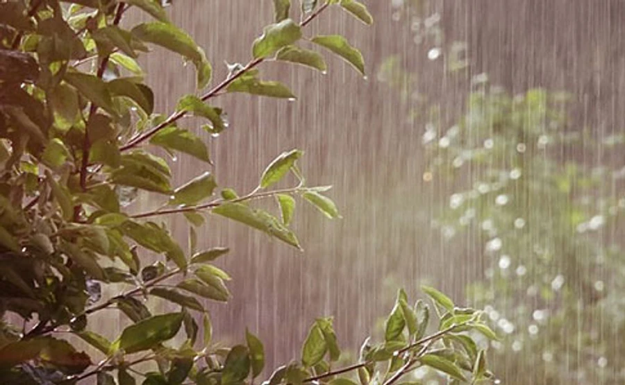 Половину України накриють дощі і грози