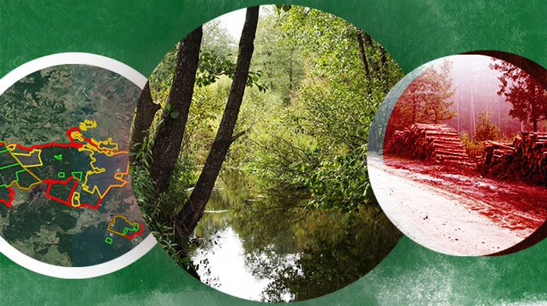 Новий льодовиковий період. Чому Україна створює безнадійно мало заповідних територій 