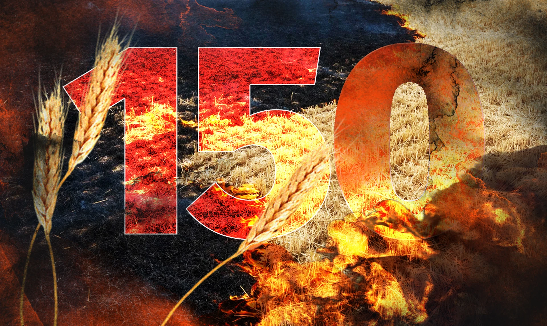 150-й день большой войны. Онлайн-хроника