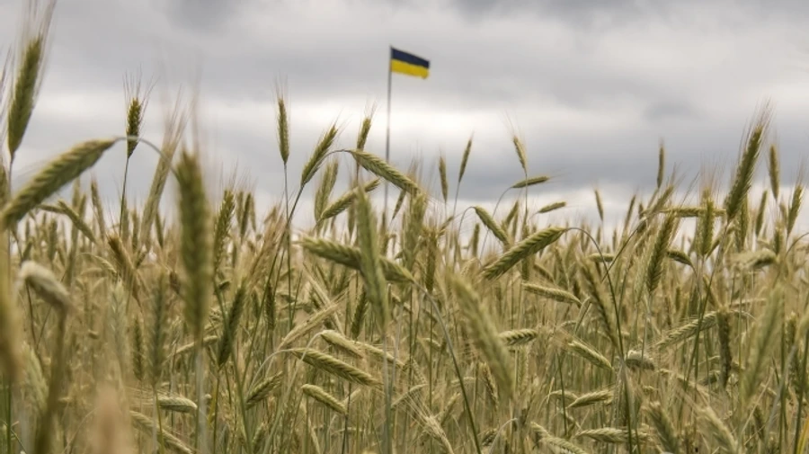 Ukraine increases grain exports by 13.5%