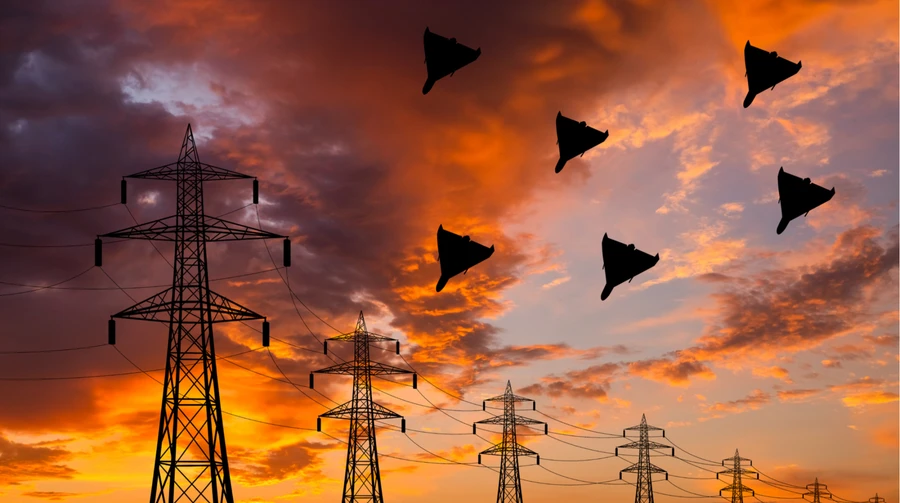 Russian drone attacks on energy facilities in Ternopil Oblast: power outages reported