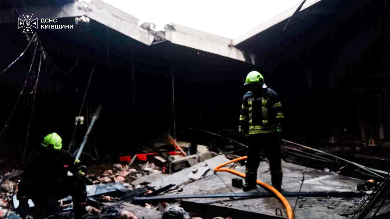 Russia attacks poultry farm in Kyiv Oblast, killing a thousand birds