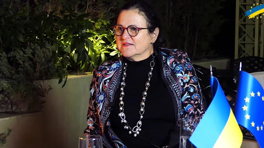 Представниця Єврокомісії пояснила, якими будуть переговори про вступ України до ЄС