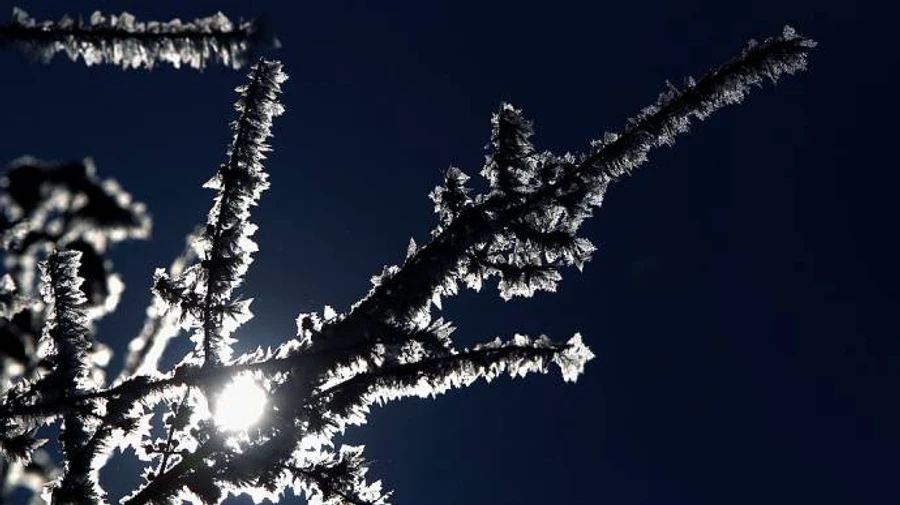 На этой неделе украинцев ждут морозы до -8 градусов