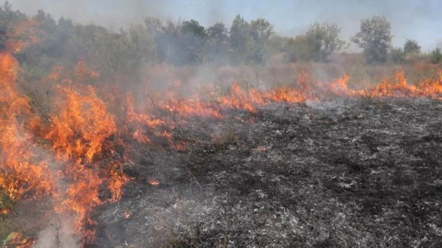 Из-за поджога сухой травы на Львовщине сгорели 3 автобуса