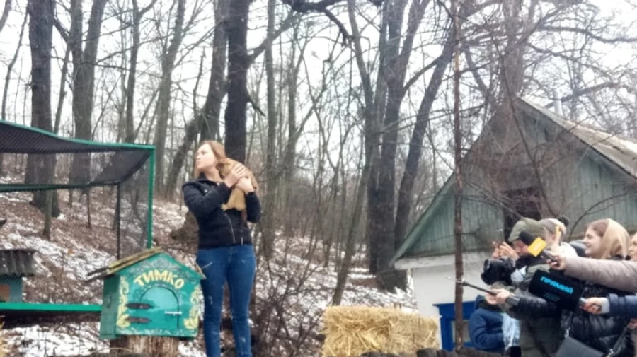 Український бабак Тимко ІІІ передбачив ранню весну