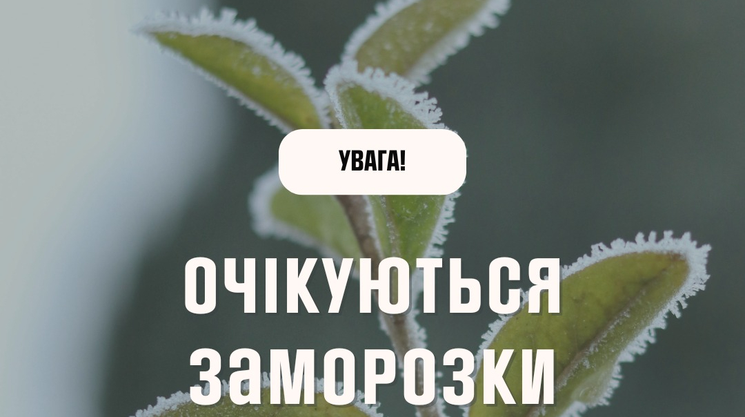 Заморозки не відступають: у ДСНС назвали найбільш вразливі регіони