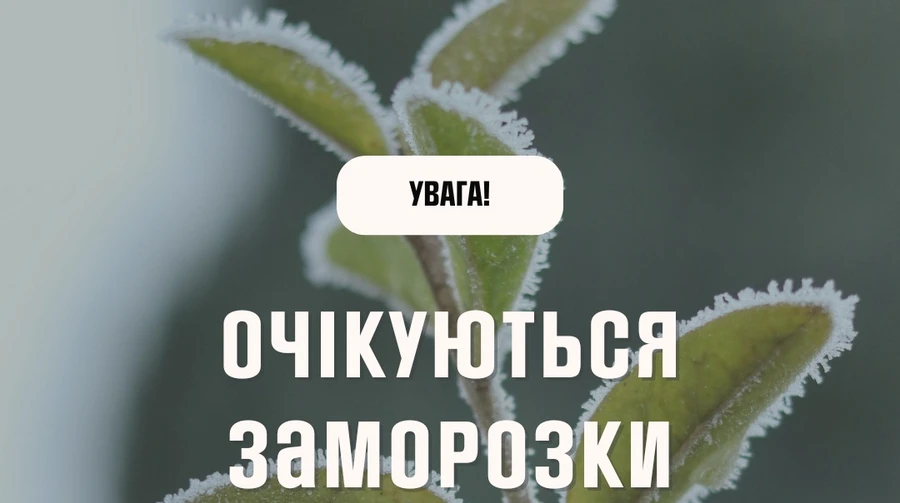 Заморозки не відступають: у ДСНС назвали найбільш вразливі регіони