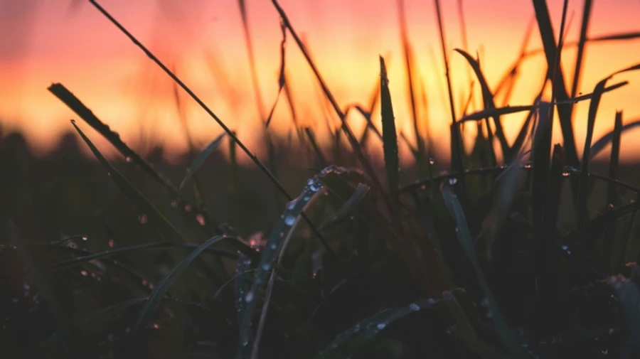 У низці областей очікуються дощі, але сильна спека не відпустить Україну