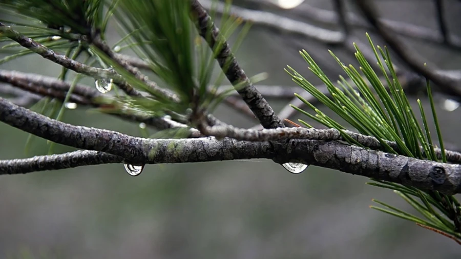 В Украине в ближайшие дни − дождь и снег, а в воскресенье придет потепление  