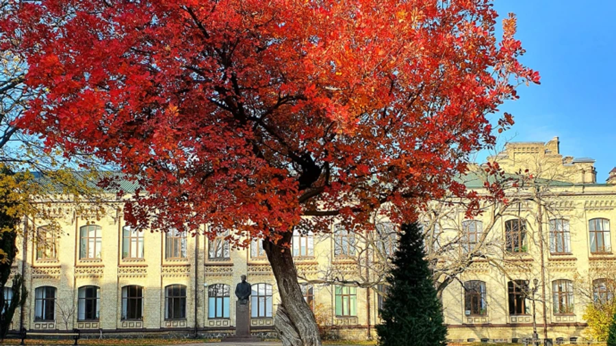 Последние дни октября будут сухими и теплыми