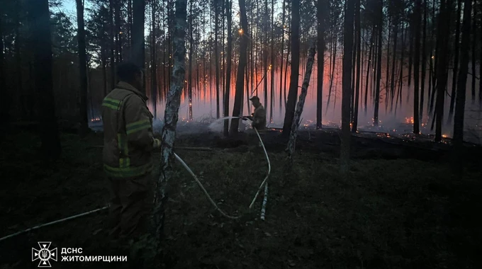 В трех областях Украины спасатели тушат почти 2000 га леса и лесной подстилки