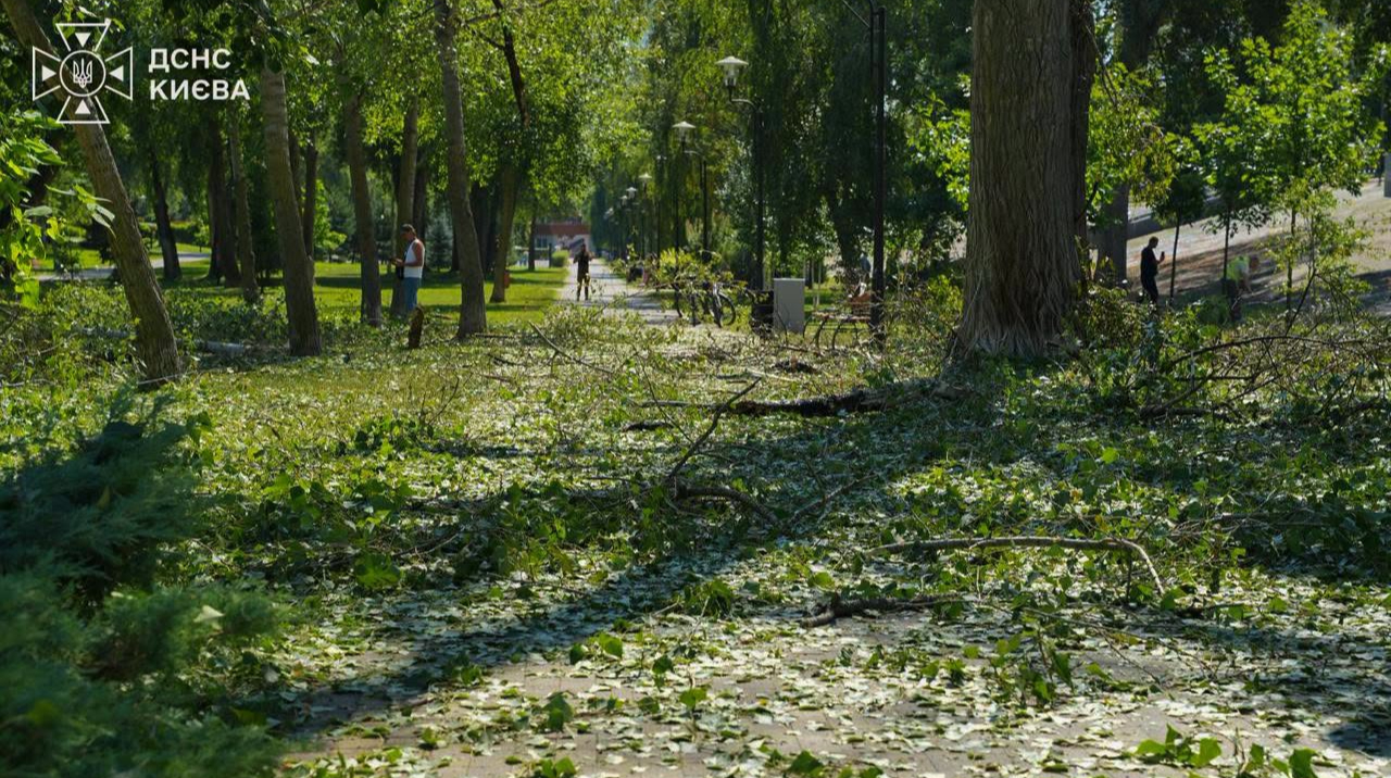 Повітряні сили: За день росіяни атакували вже 224 дронами, переважно в бік Києва