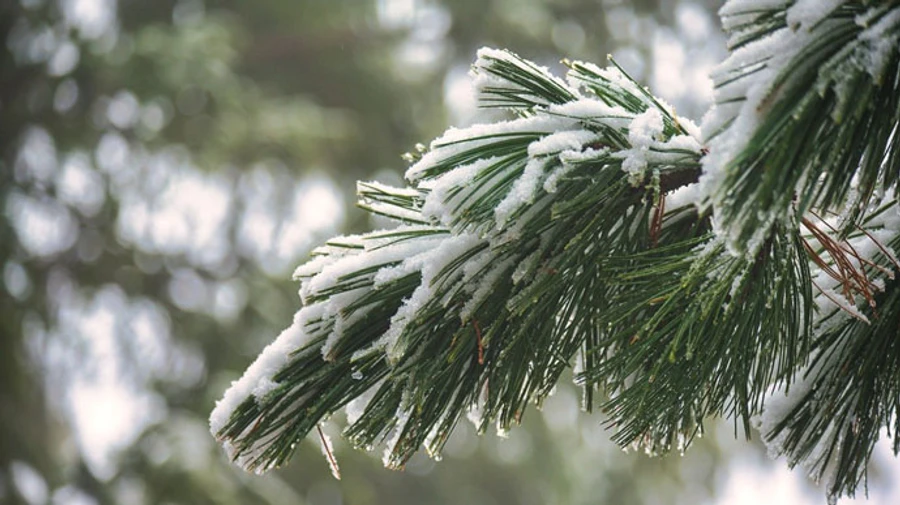 Во вторник в Украине ожидают снег с дождем 