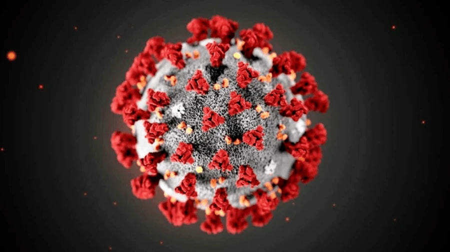 COVID: Украина — четвертая в мире по суточной смертности