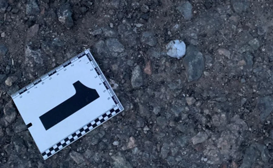 Стало известно, что взорвалось на детской площадке на Днепропетровщине