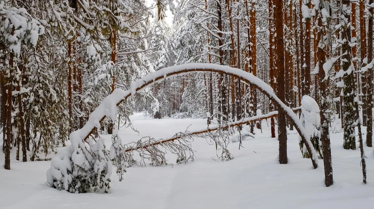 В Україні очікується погіршення погоди – синоптики