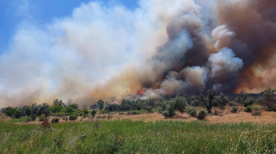 Multiple strikes result in forest fire near Mykolaiv