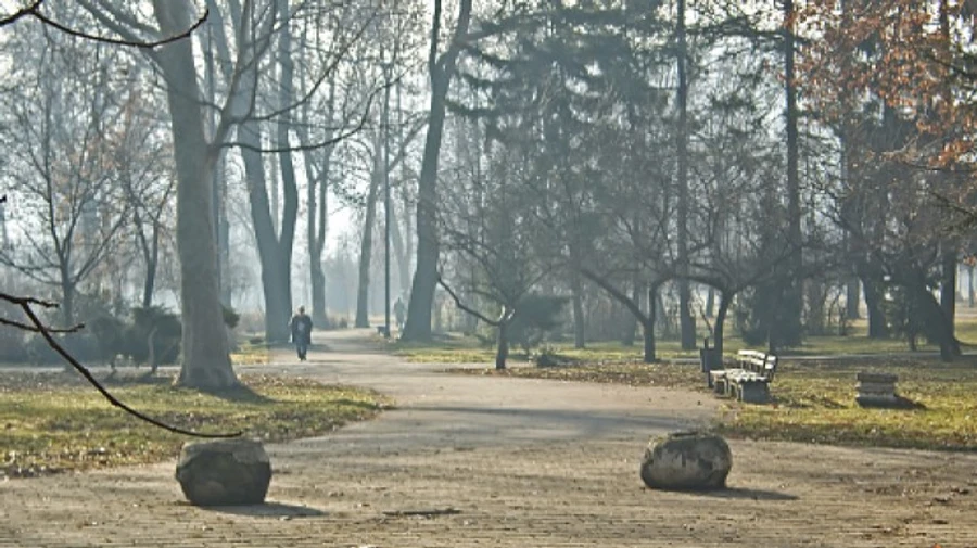 Погода на найближчі дні: вітер з півдня і до +8 градусів