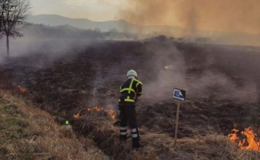 На Закарпатті ледь не спалили Долину нарцисів