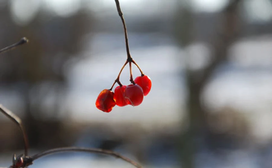 Синоптик дала прогноз на п'ятницю 13-е