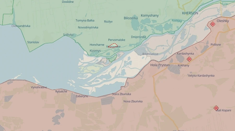 Росіяни вбили літню жінку у Велетенському на Херсонщині