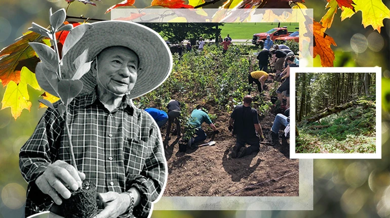 Легенда про Міявакі. Як в Україні посадити мільярд дерев по-японськи