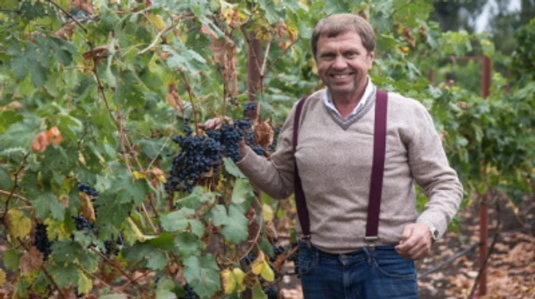 Шато Фалька: як на березі Дніпро-Бузького лиману народжується ще одна українська виноробня