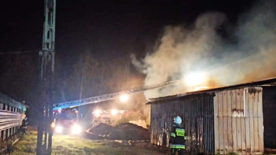 У Польщі трьох українців затримали за підпал птахоферми і проникнення у крамницю