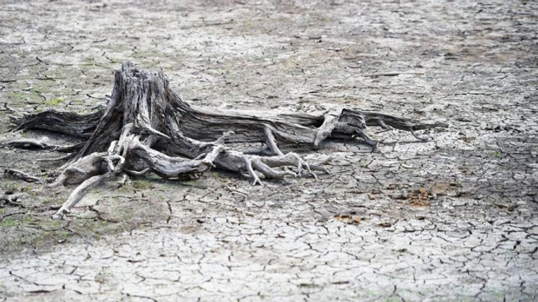 В Крыму почти высохло большое пресноводное озеро